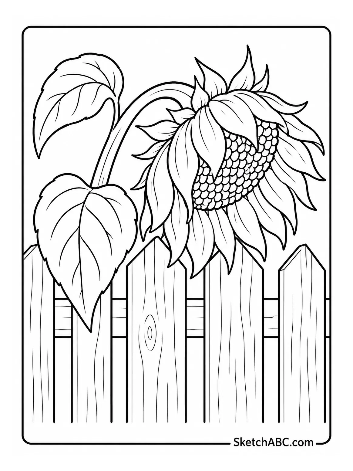Late season Sunflower coloring pages