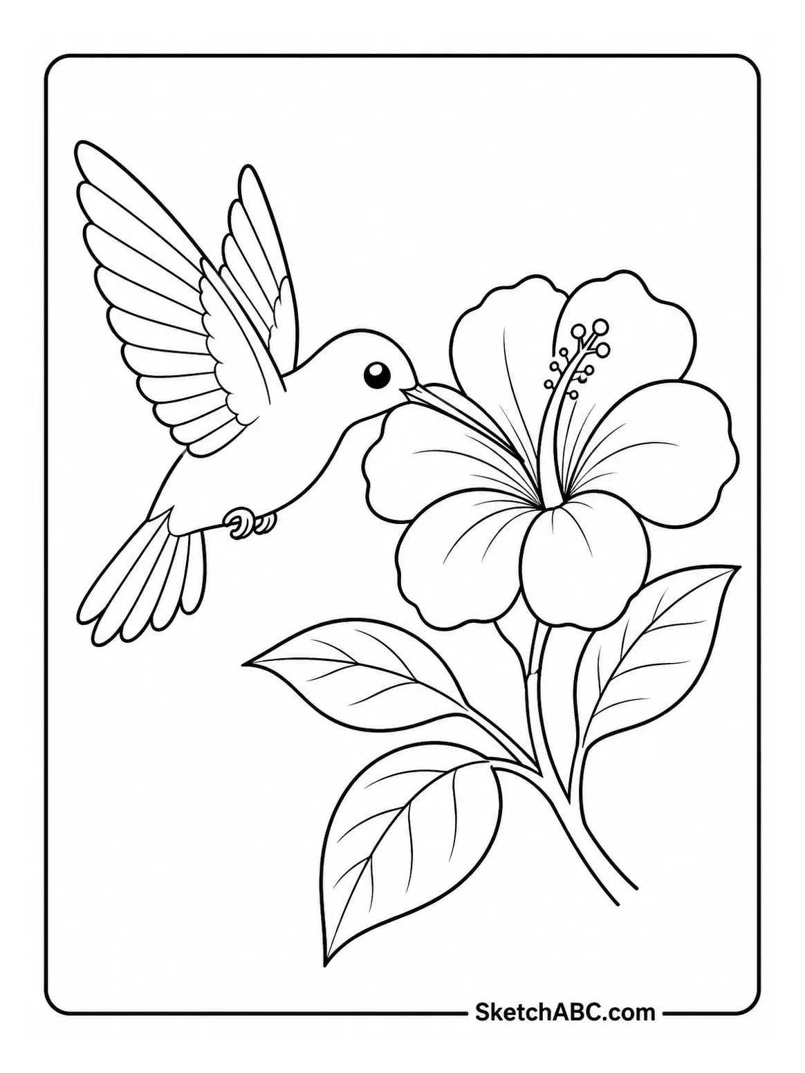 Hummingbird and Flower coloring pages Hummingbird and Flower coloring pages