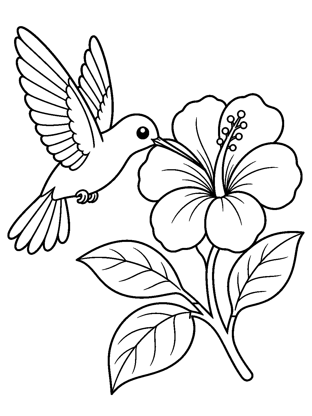 Hummingbird and Flower coloring pages
